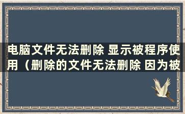 电脑文件无法删除 显示被程序使用（删除的文件无法删除 因为被程序占用）